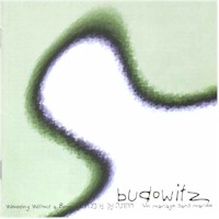 Budowitz-wedding without a bride
