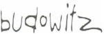 budowitz-banner